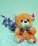 BEAR 1