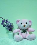 BEAR 2