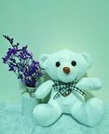 BEAR 4