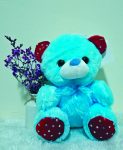 BEAR 5
