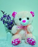 BEAR 6